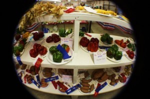 County Fair 3